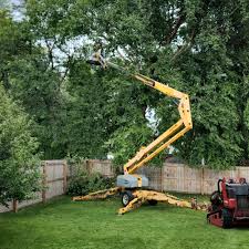 Best Tree Removal  in San Castle, FL